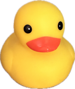 a rubber duck